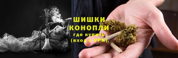 сатива Нефтегорск
