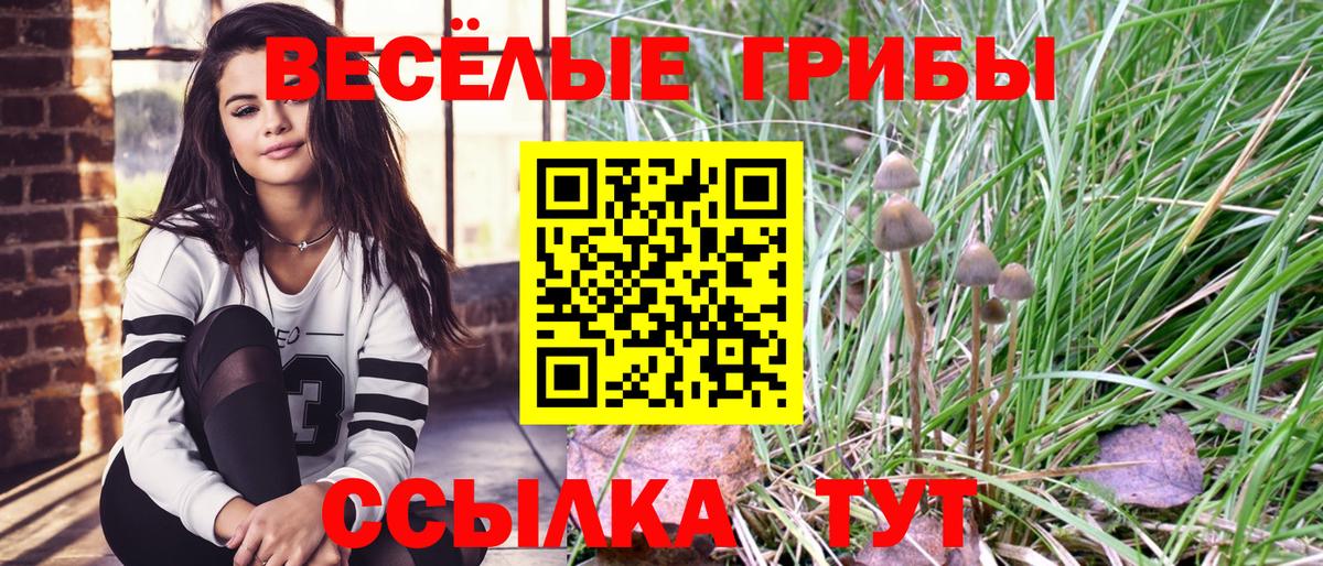 Губкин  Псилоцибиновые грибы Psilocybe  Галлюциногенные грибы MAGIC MUSHROOMS  Вход с VPN 