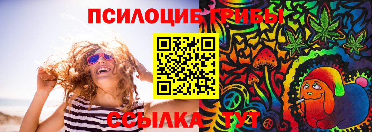 Губкин  Галлюциногенные грибы прущие грибы  дарнет шоп  Вход с VPN 