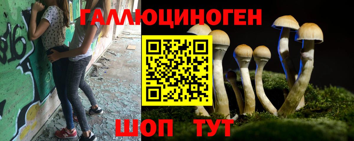 Псилоцибиновые грибы Psilocybine cubensis Губкин