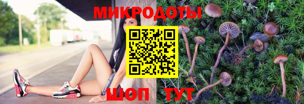 Галлюциногенные грибы ЛСД Губкин