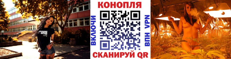 где купить наркоту  Губкин  OMG зеркало  Бошки марихуана White Widow 